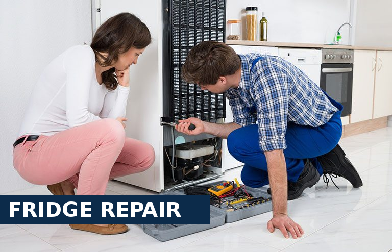 Fridge Repair Tufnell Park